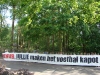 0809rkcgra001